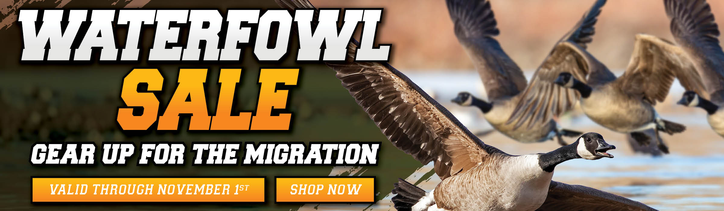 Waterfowl Sale